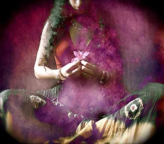 Welcome to Cedar Song Sanctuary